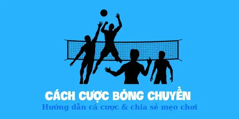 Top Các Cách Cược Bóng Chuyền VIN777 Phổ Biến Nhất